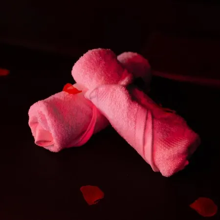 Nid D'amour Romantique Corbeil-Essonnes